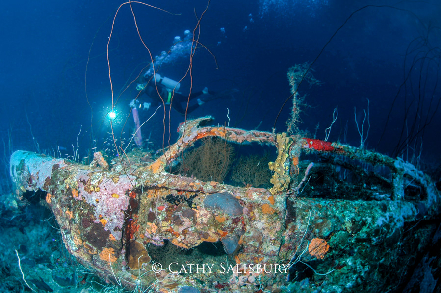 Car Pile, CURACAO by Cathy Salisbury