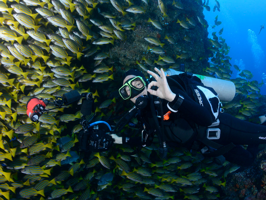 Cathy Salisbury COCOS ISLAND