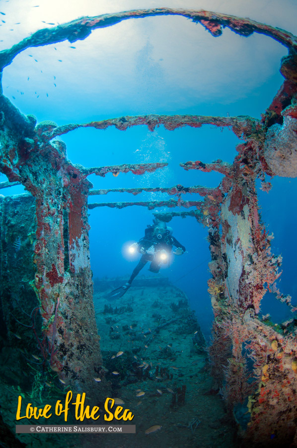 The Christena shipwreck, Nevis by Cathy Salisbury