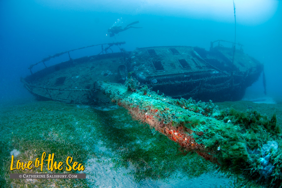 The Rose shipwreck, Carriacou by Cathy Salisbury