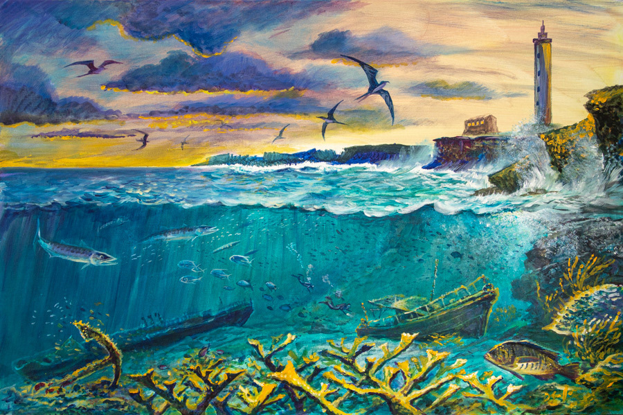 Spelonk Shipwrecks, Bonaire by Dominique Serafini