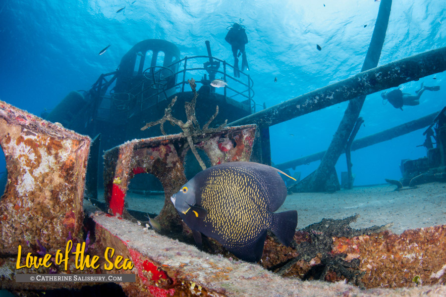 USS Kittiwake shipwreck, Grand Cayman by Cathy Salisbury