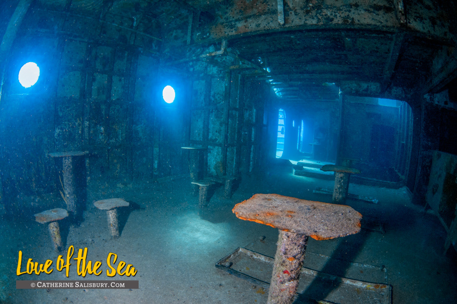 USS Kittiwake shipwreck, Grand Cayman by Cathy Salisbury