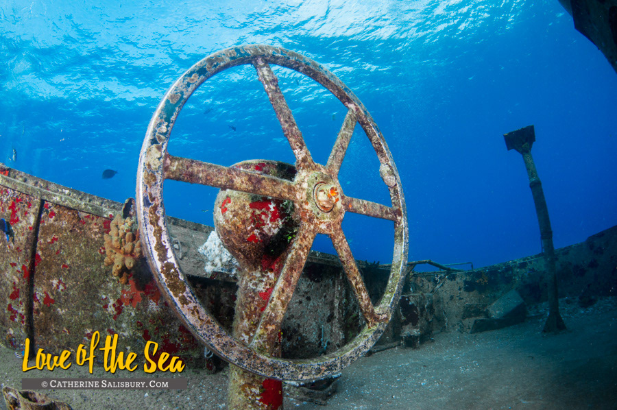 USS Kittiwake, Grand Cayman by Cathy Salisbury