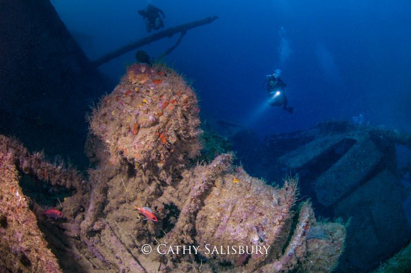 The Bianca C, Grenada by Cathy Salisbury