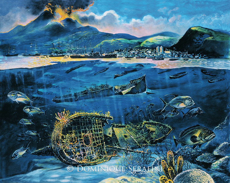 The Tamaya, Martinique by Dominique Serafini