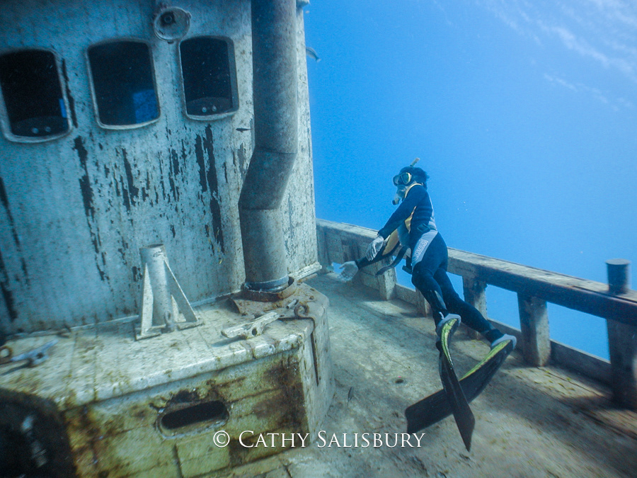 Our Confidence, Bonaire by Cathy Salisbury