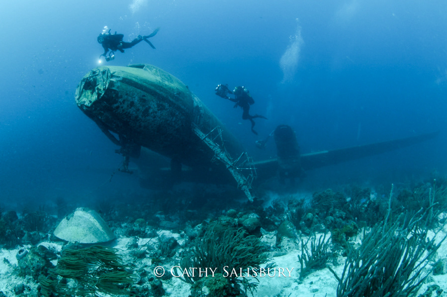 Plane Wreck, Aruba by Cathy Salisbury