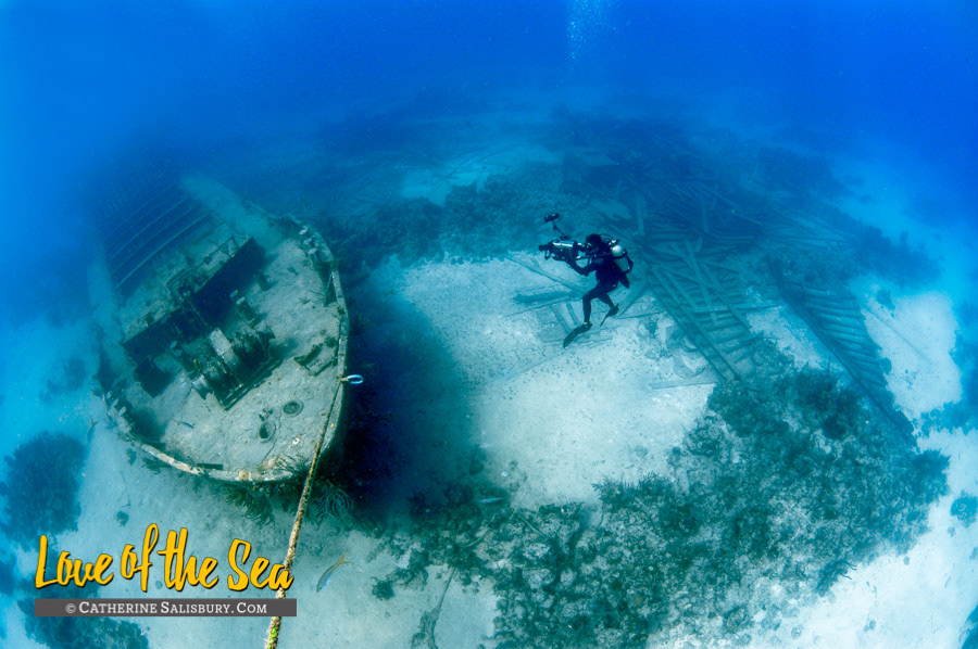 The Willaurie, New Providence BAHAMAS by Cathy Salisbury