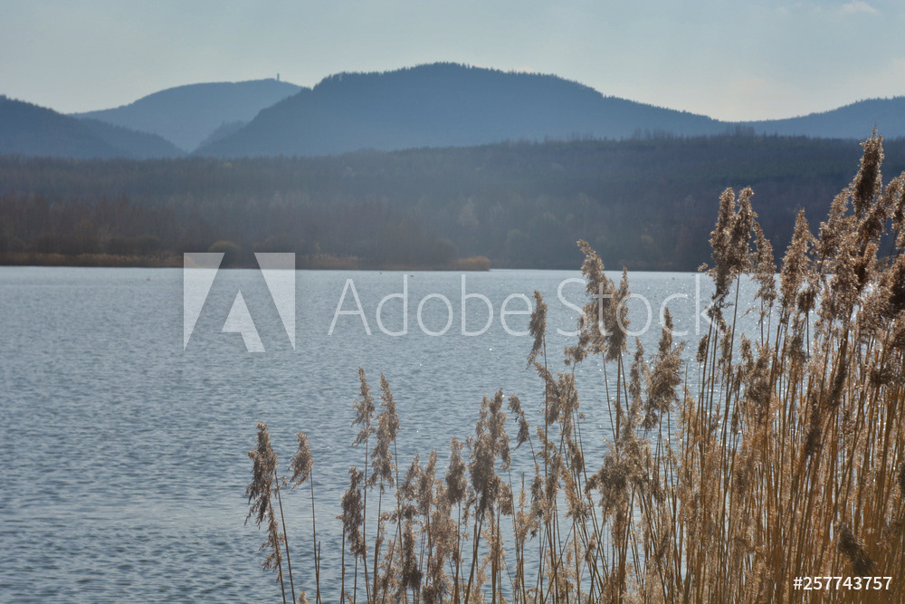 Ausblick zum Hochwald über den See hinweg