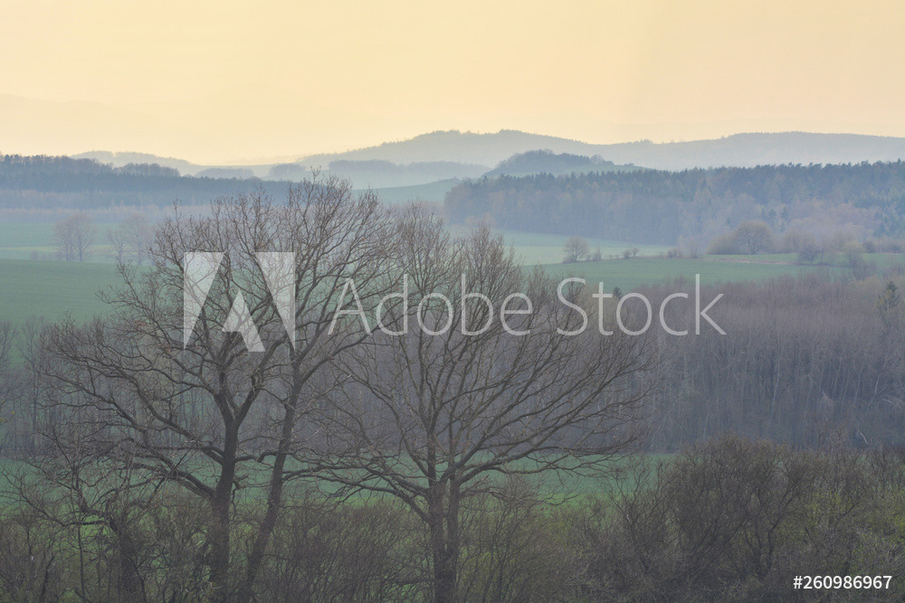 Ausblick vom Schönbrunner Berg (Großer Berg) im Lausitzer Bergland