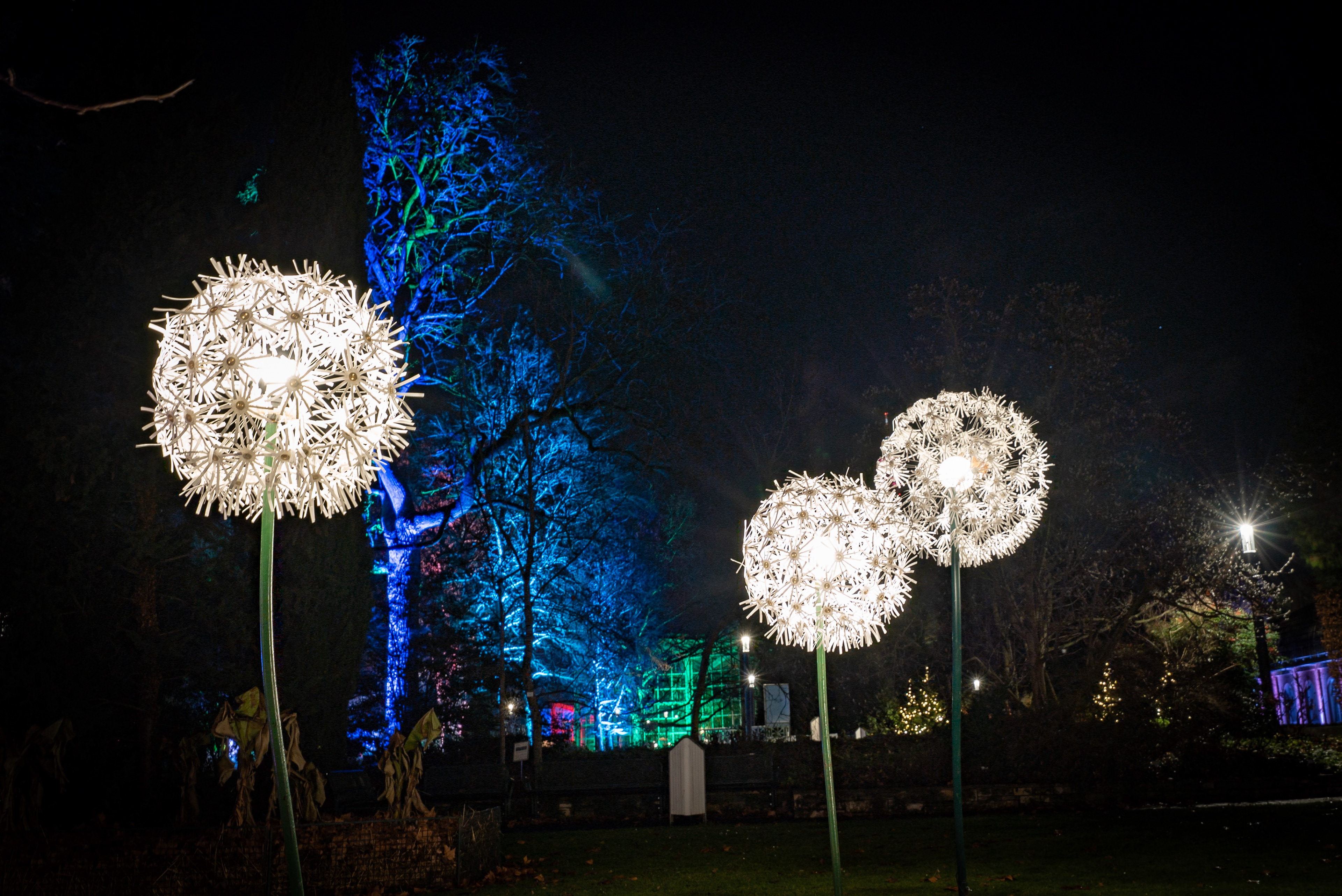 Palmengarten frankfurt lichterfest Luminale