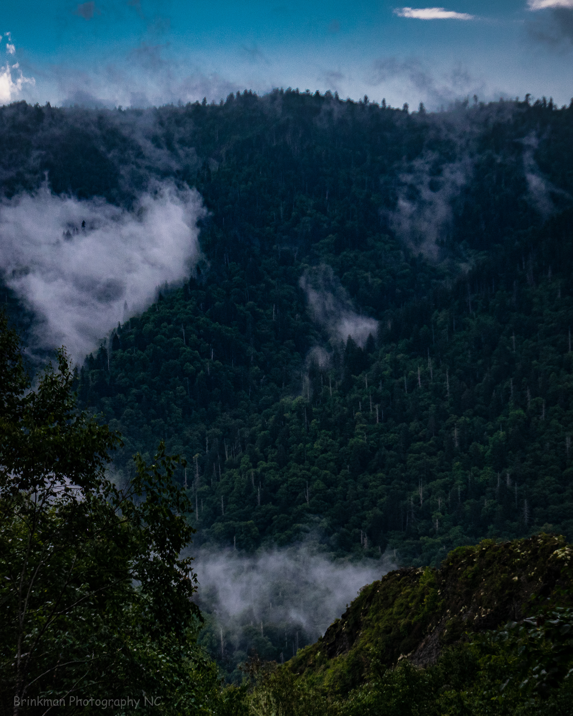 View near Alum Cave Bluff