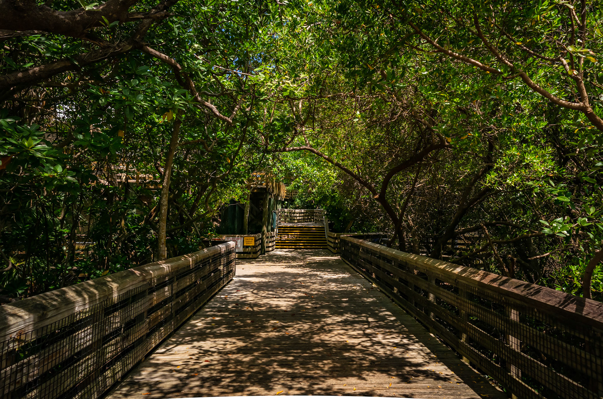 John D. McArthur State Park Boardwalk