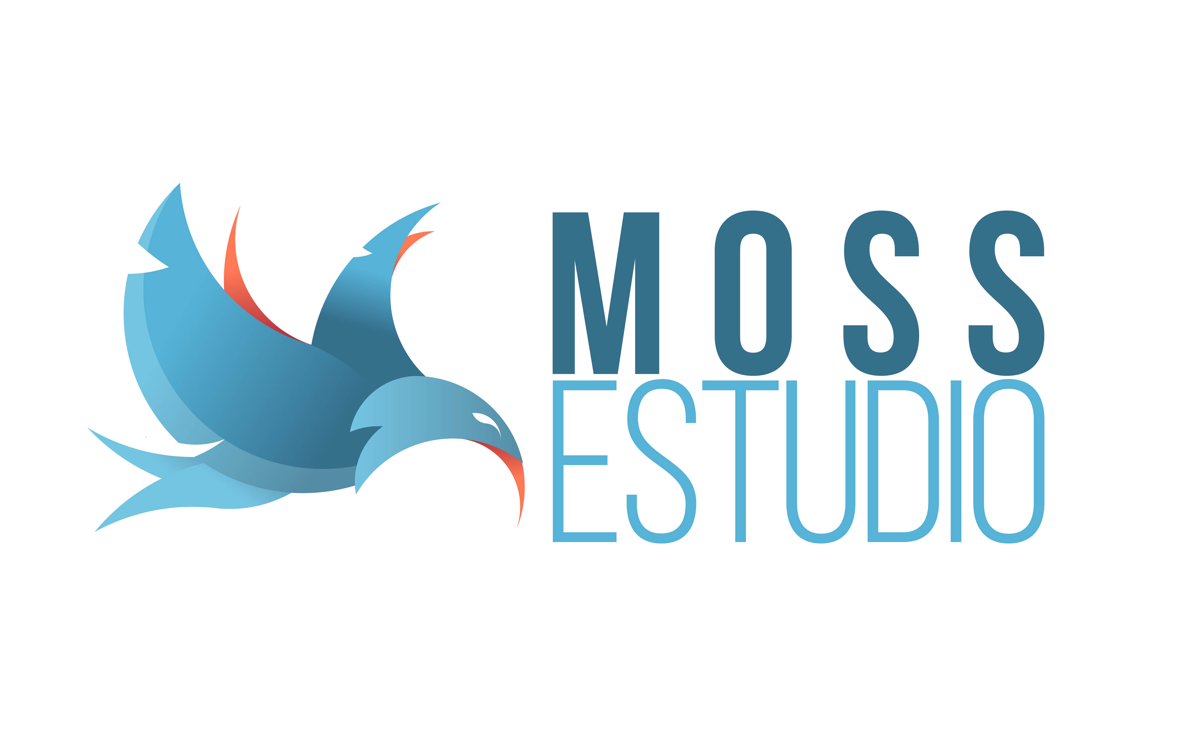 Moss Estudio