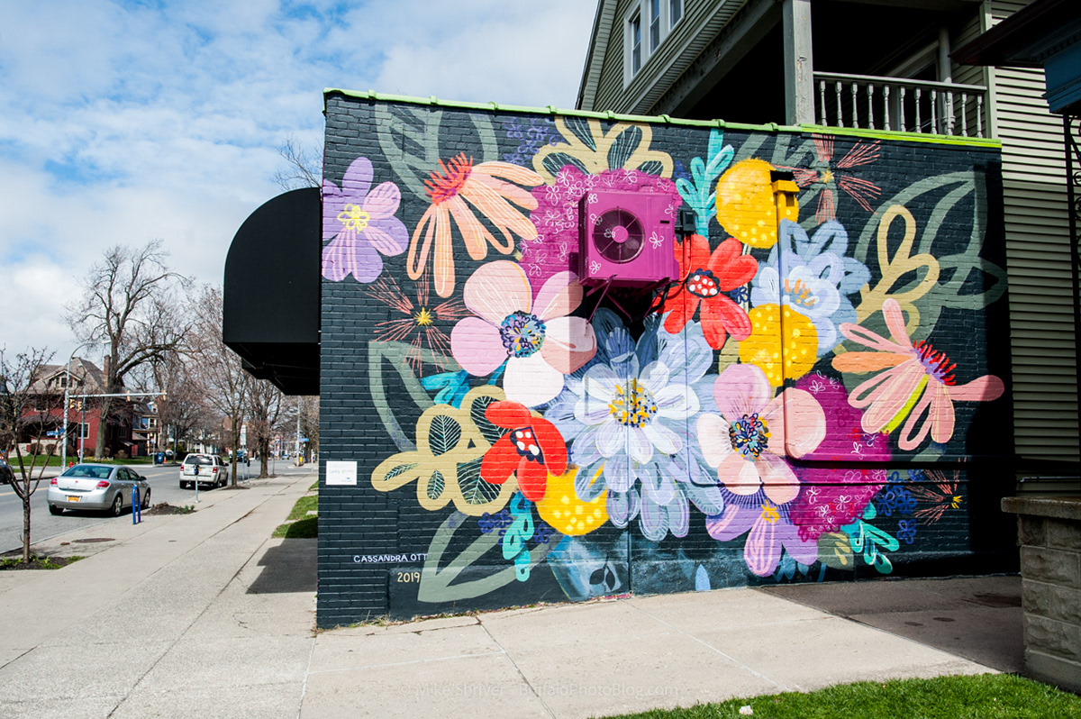 Photography of Buffalo, NY - murals of buffalo