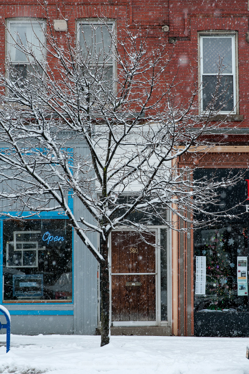 Photography of Buffalo, NY - buffalo winter