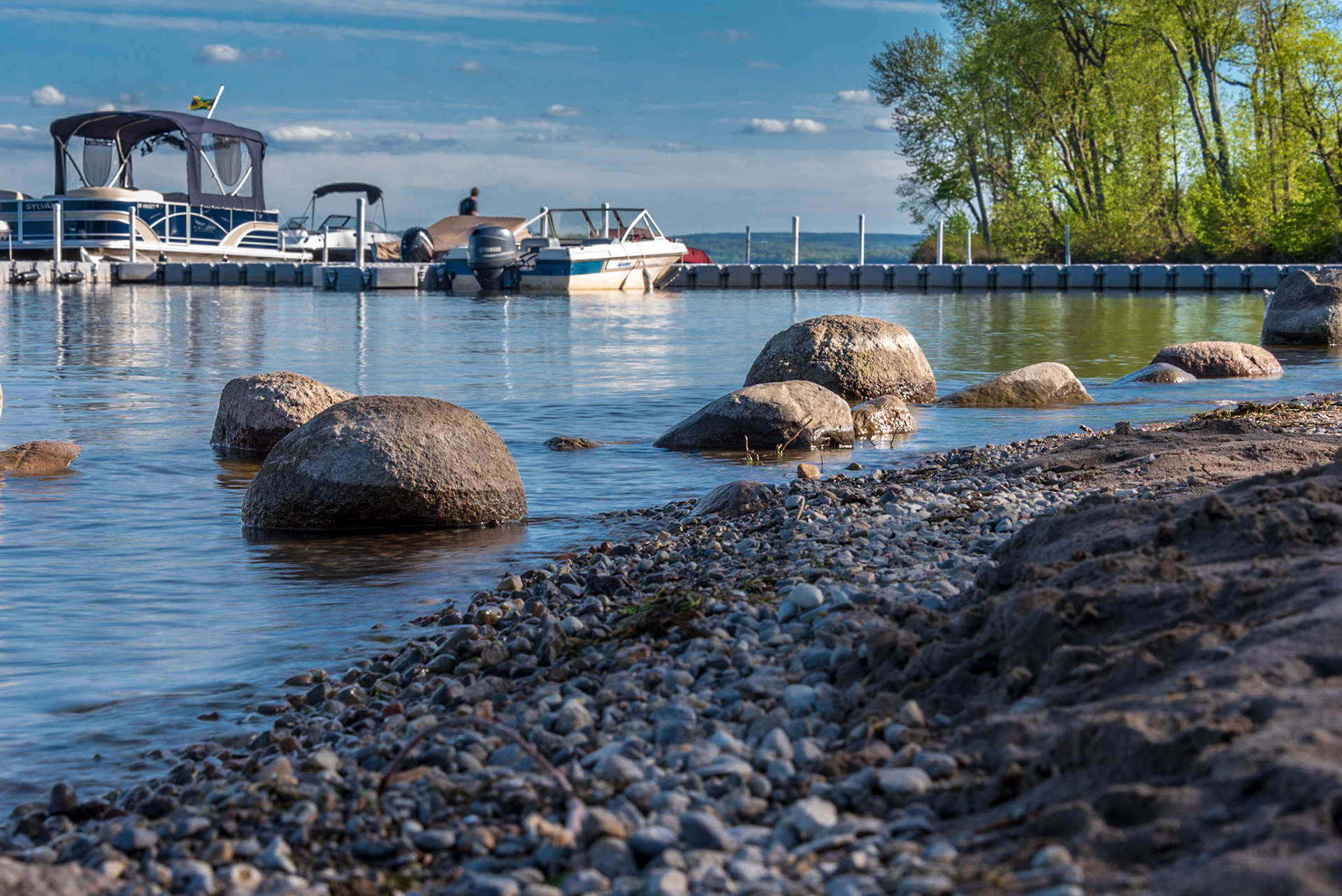 Bellmere Dock