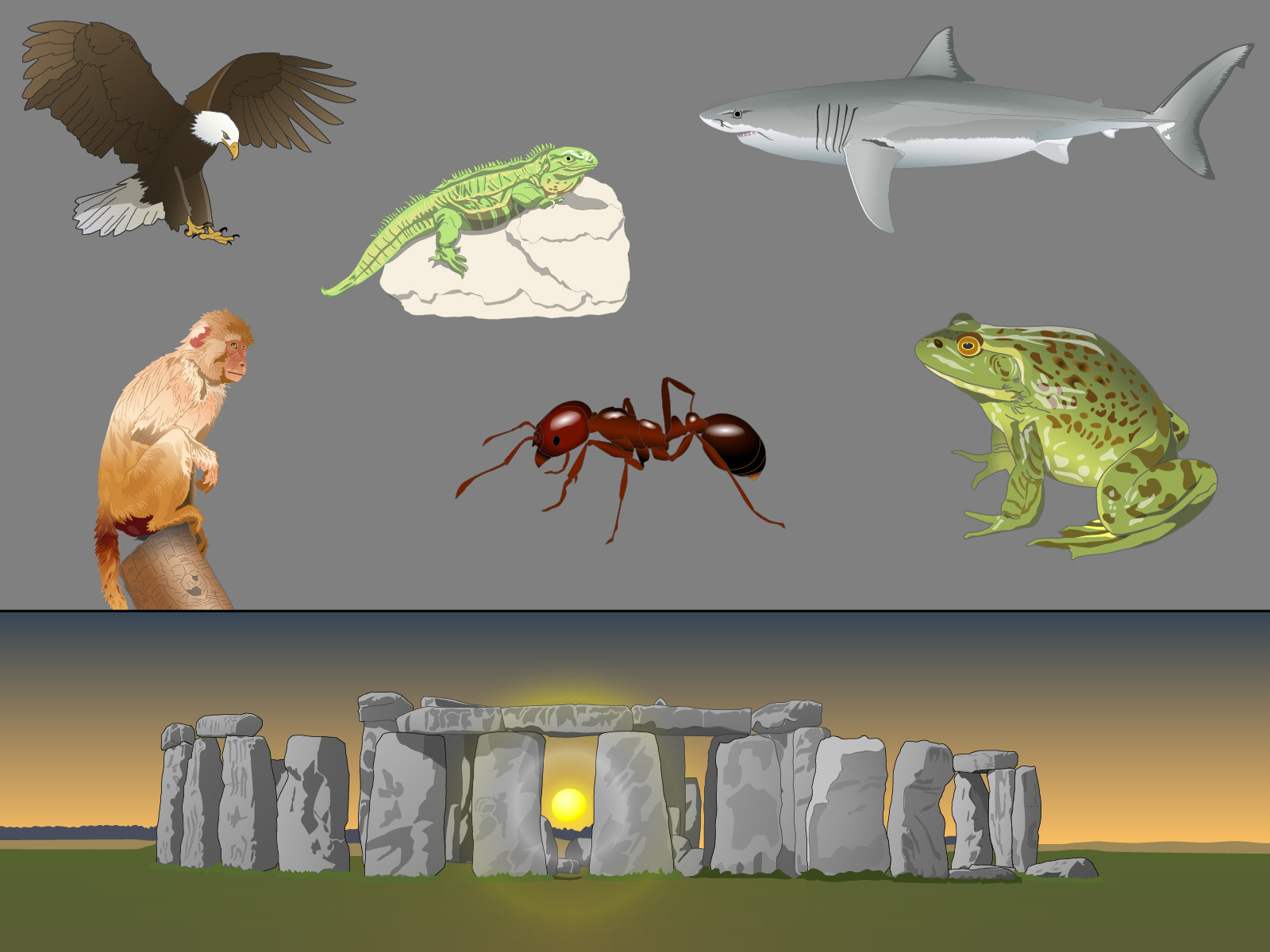 Vector illustrations for various courses, Macmillan Learning