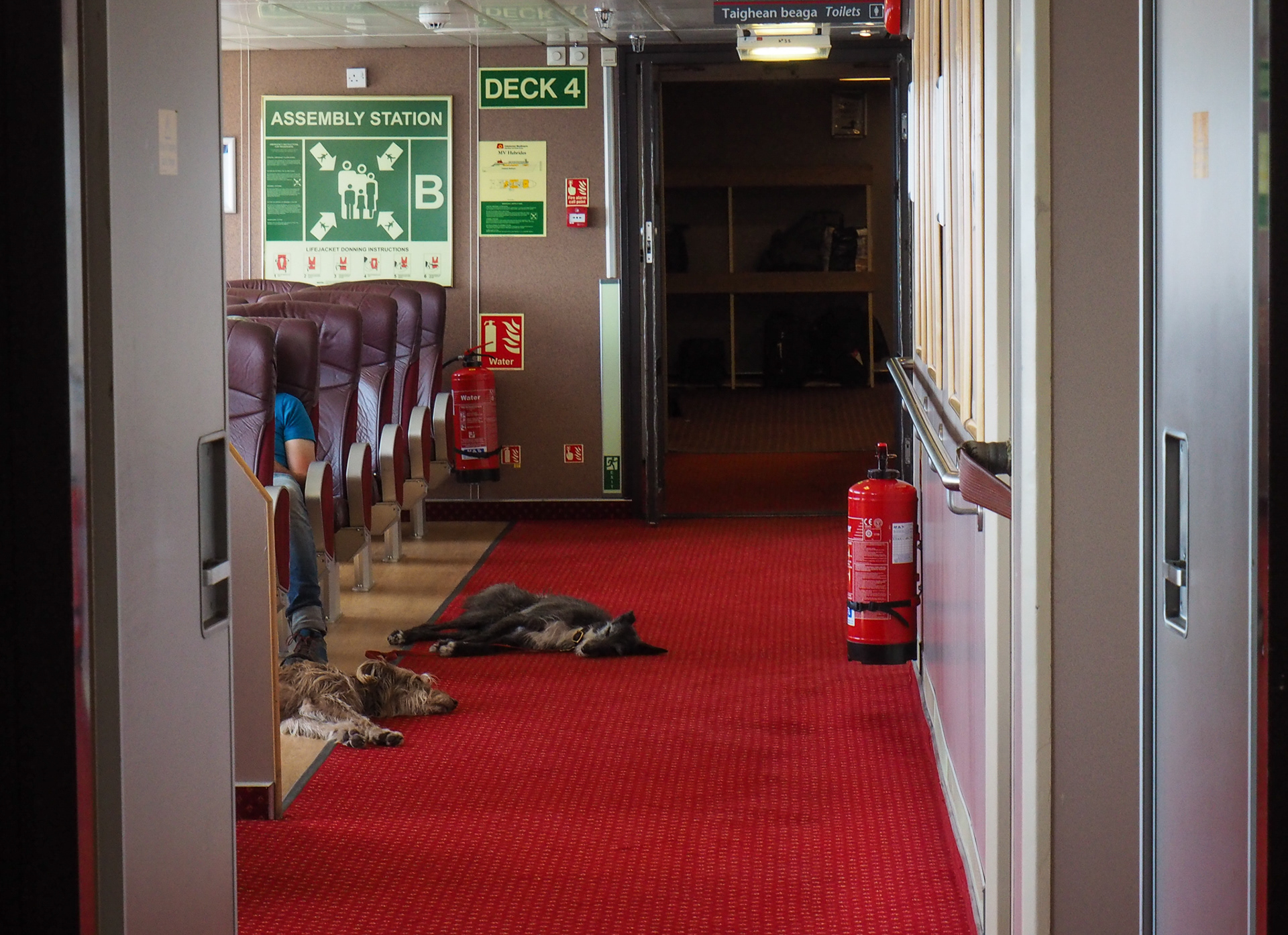 Sleeping on the ferry