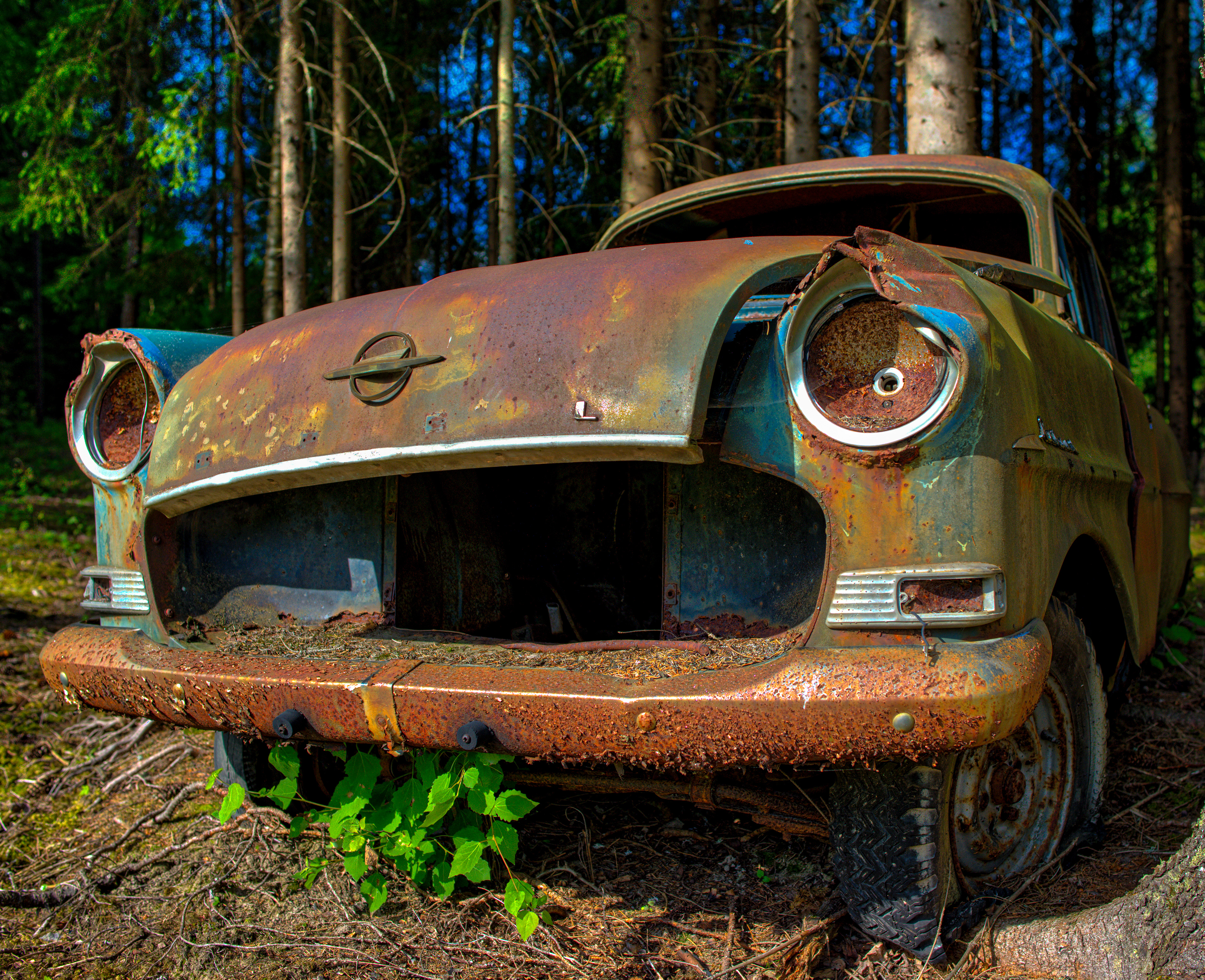 Low angled shot of front of old rusty vintage Opel abandoned in the woods