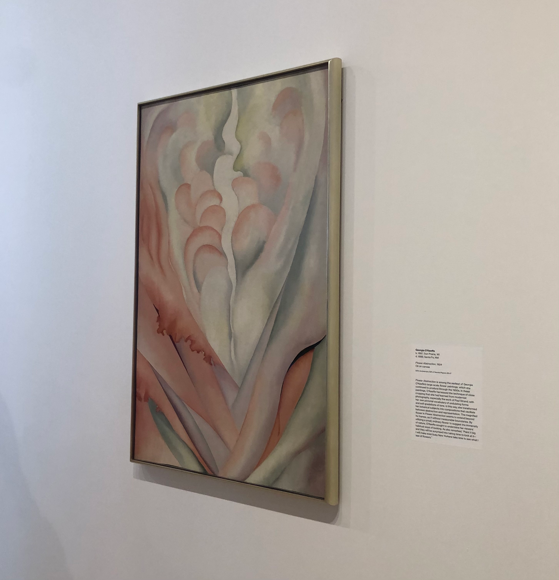 Georgia O’Keeffe, Flower Abstraction, 1924