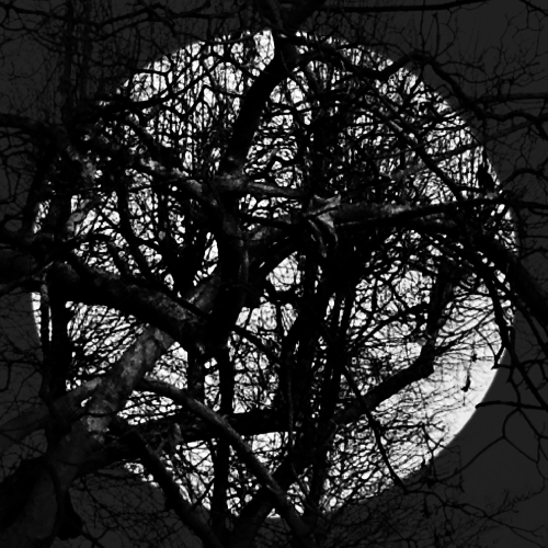 MOND/MOON3_2019_B/W_Inkjet Print_100x100cm