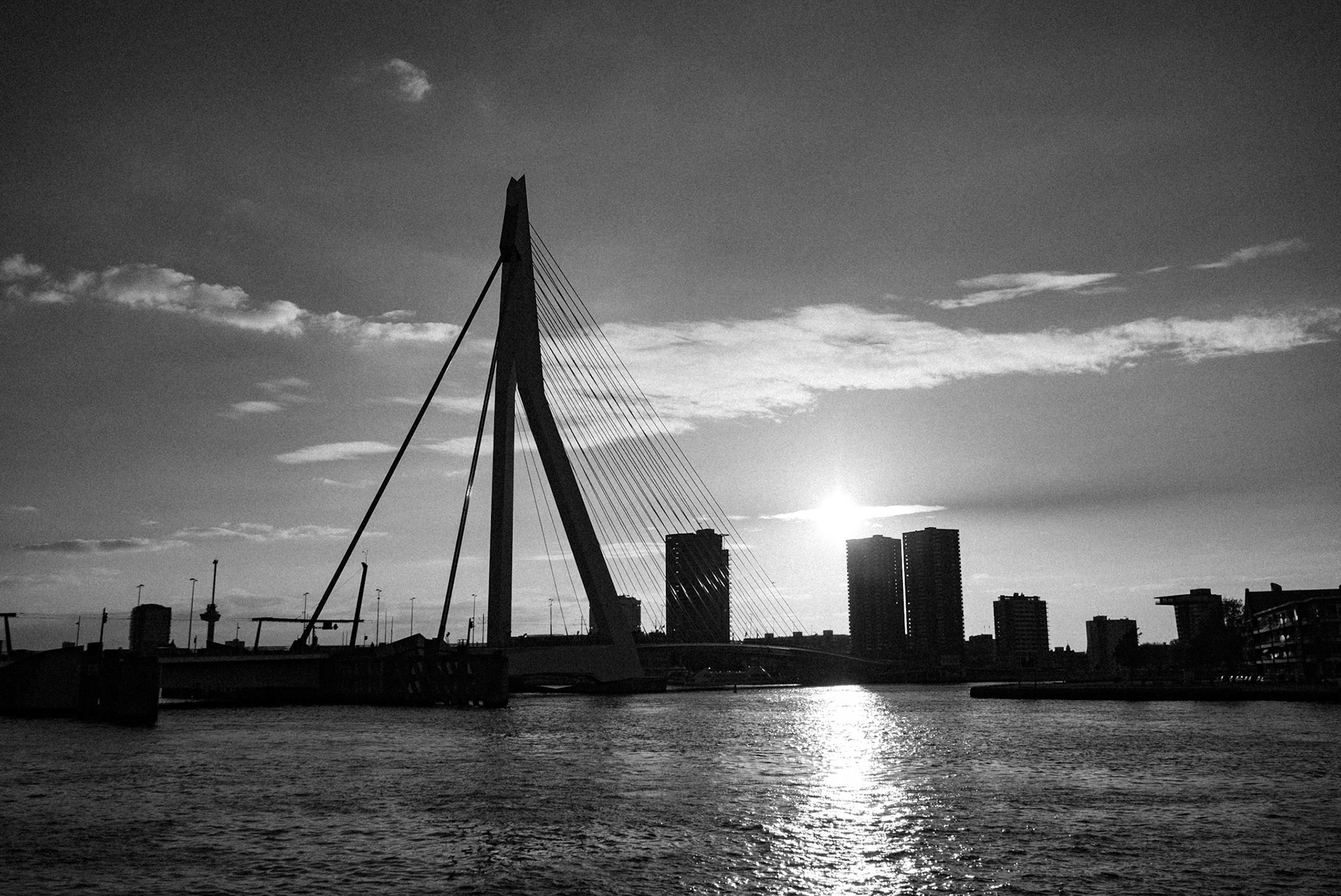 Erasmus Brige