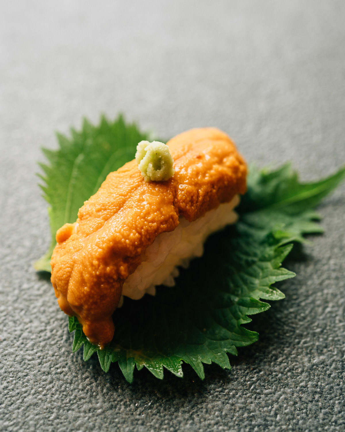 Tokyo Food Photographer