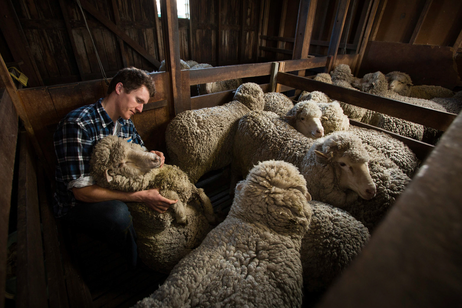 Tasmanian Institute of Agriculture  Peter McEvoy.