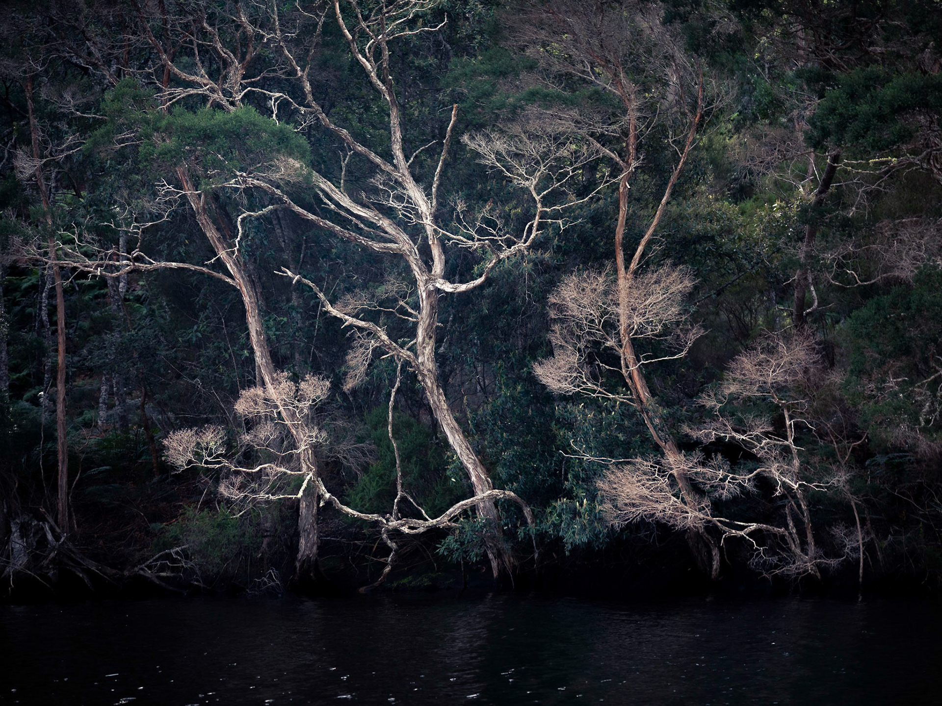 East coast15-17-05/2021photo by Peter Mathew