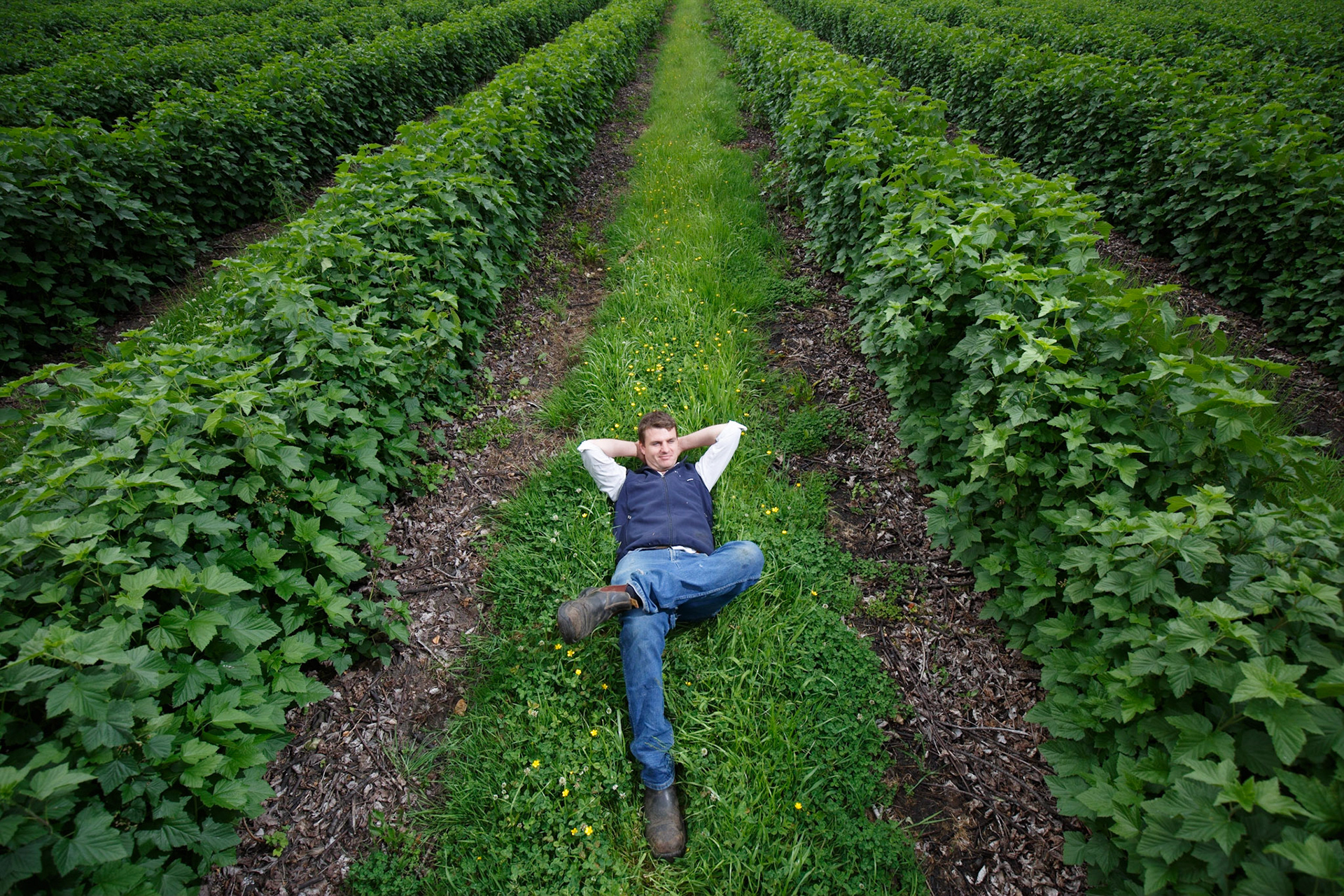 Richard Clark of Westerway Raspberry Farm at Lanoma Estate, Westerway