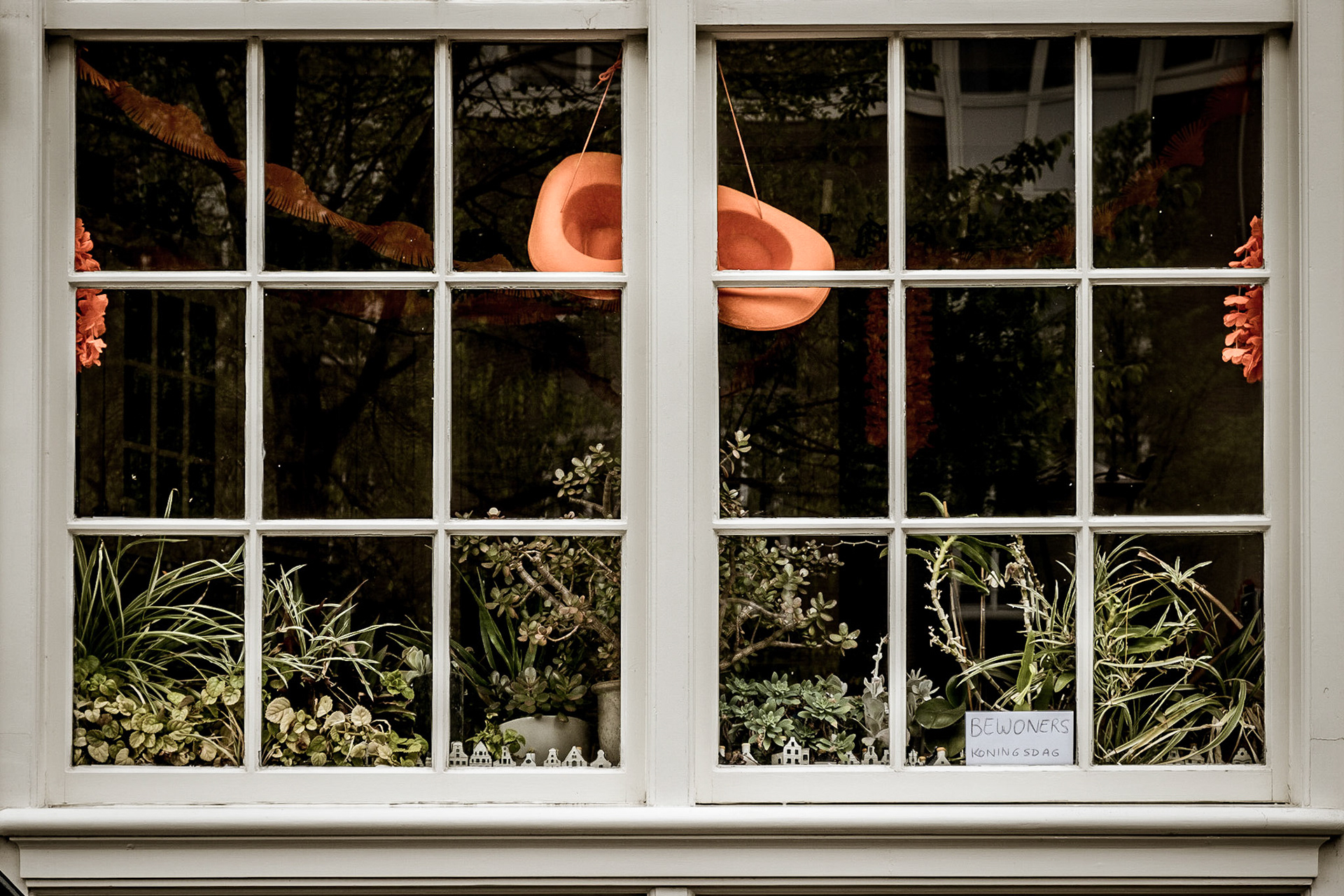 2019 | Netherlands, Amsterdam (King's Day)