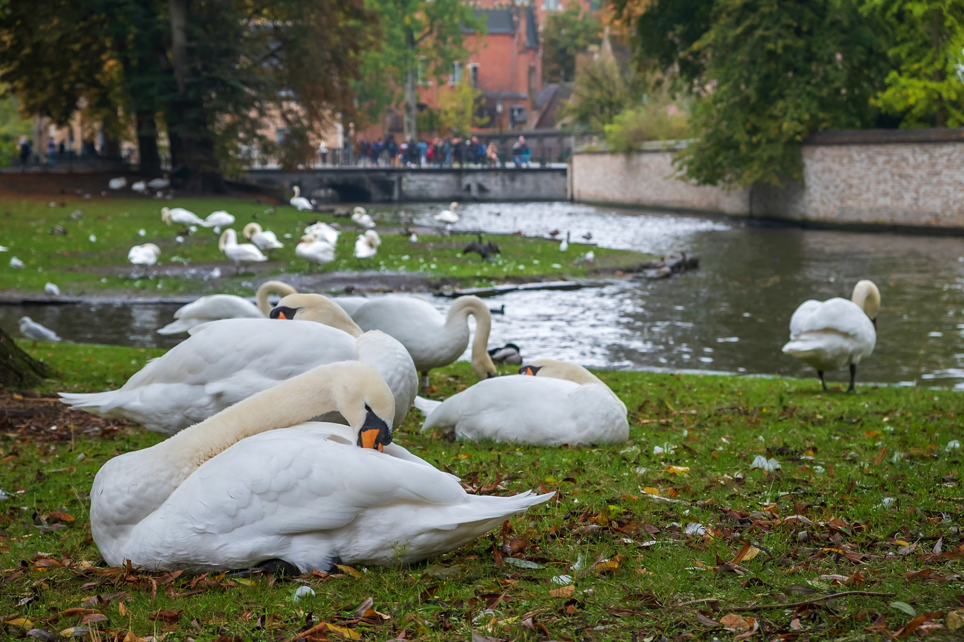 2019 | Belgium, Brugges | Begijnhof