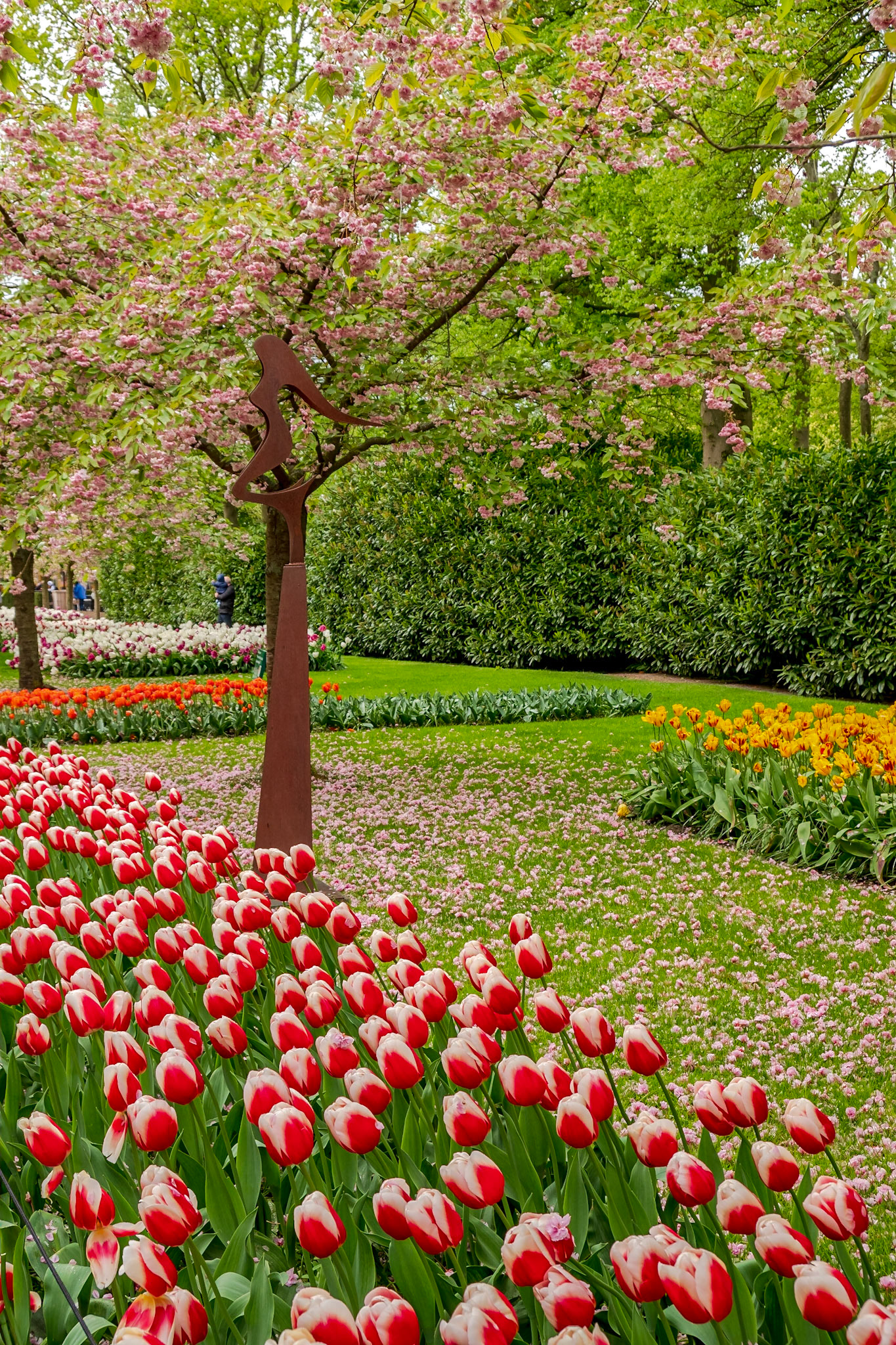 2019 | Netherlands, Keukenhof