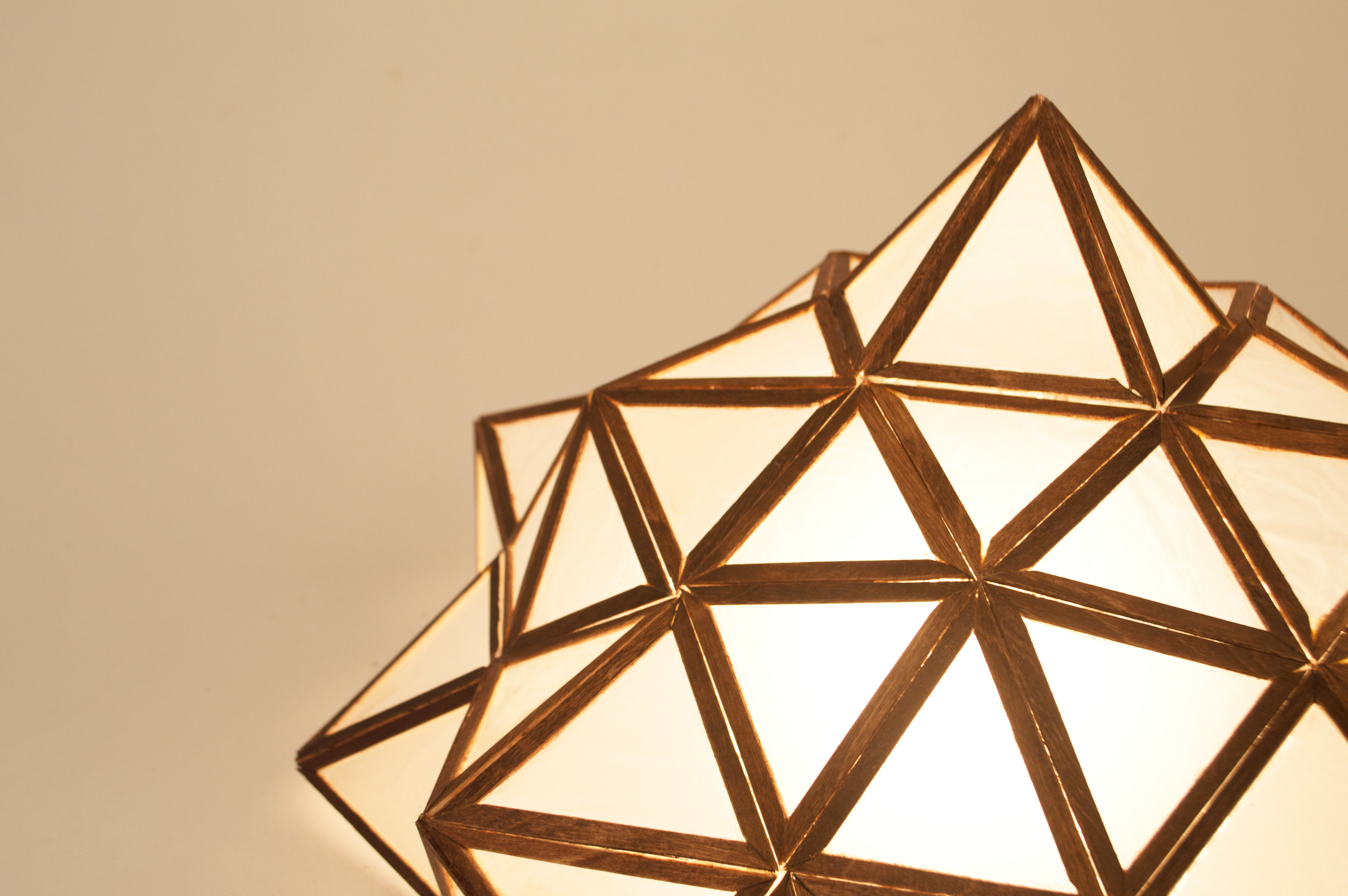 Inspired by geodesic forms, trash bags and popsicle sticks