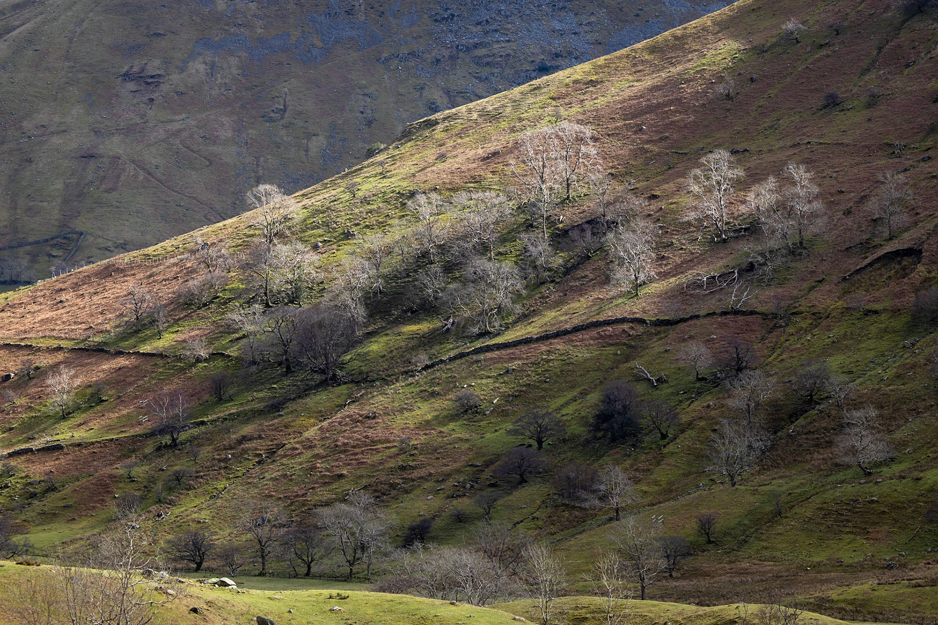 Dovedale