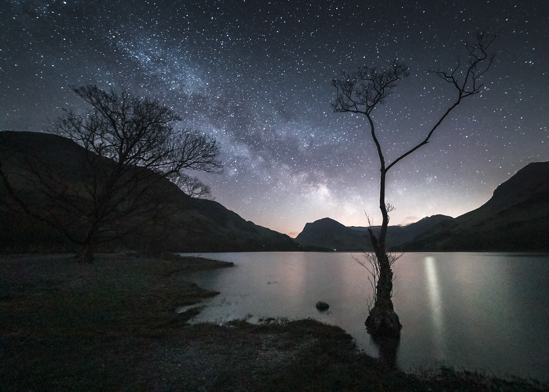 Buttermere tree