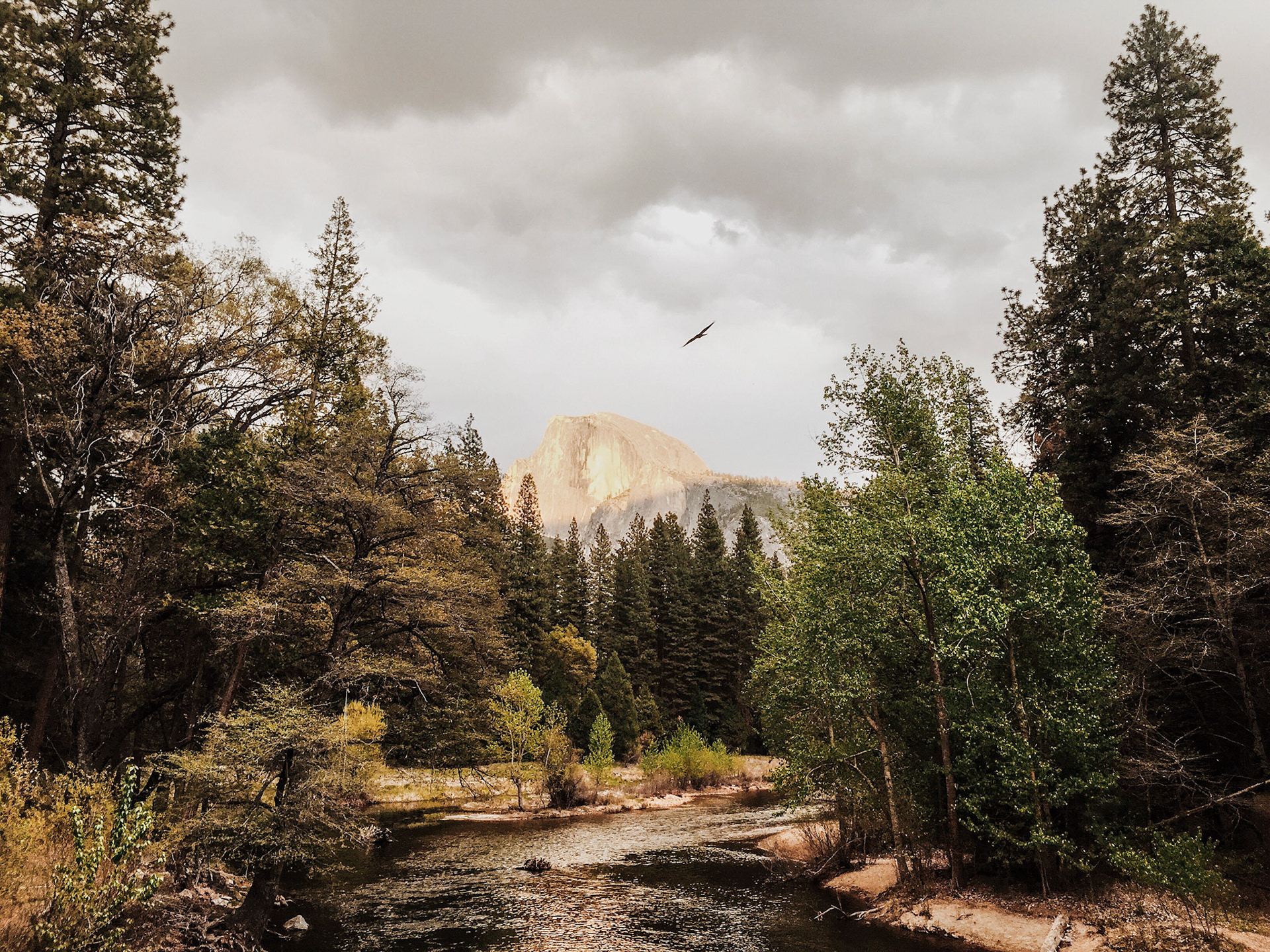 Processed with VSCOcam with m5 preset