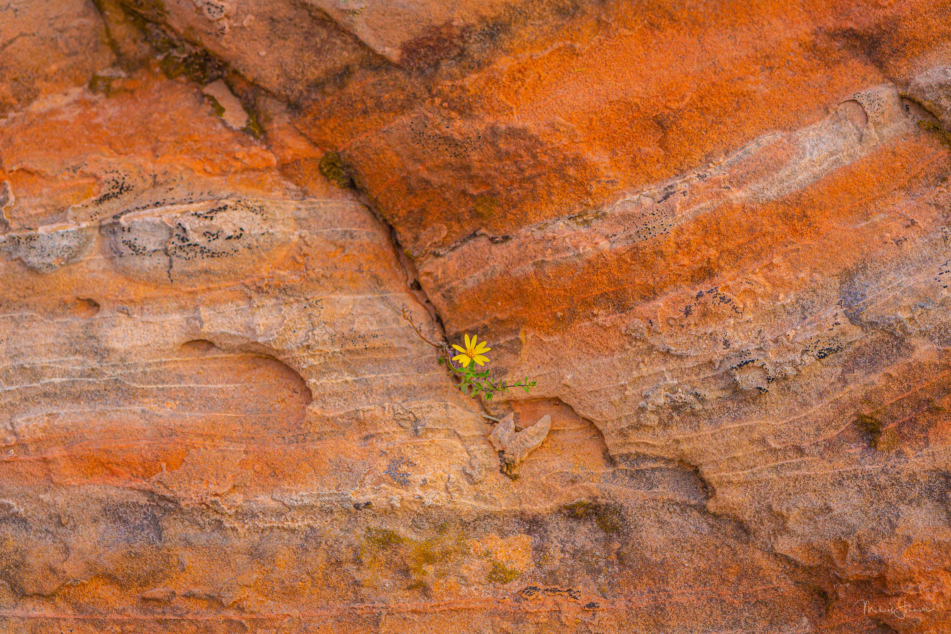 White Pocket Formation