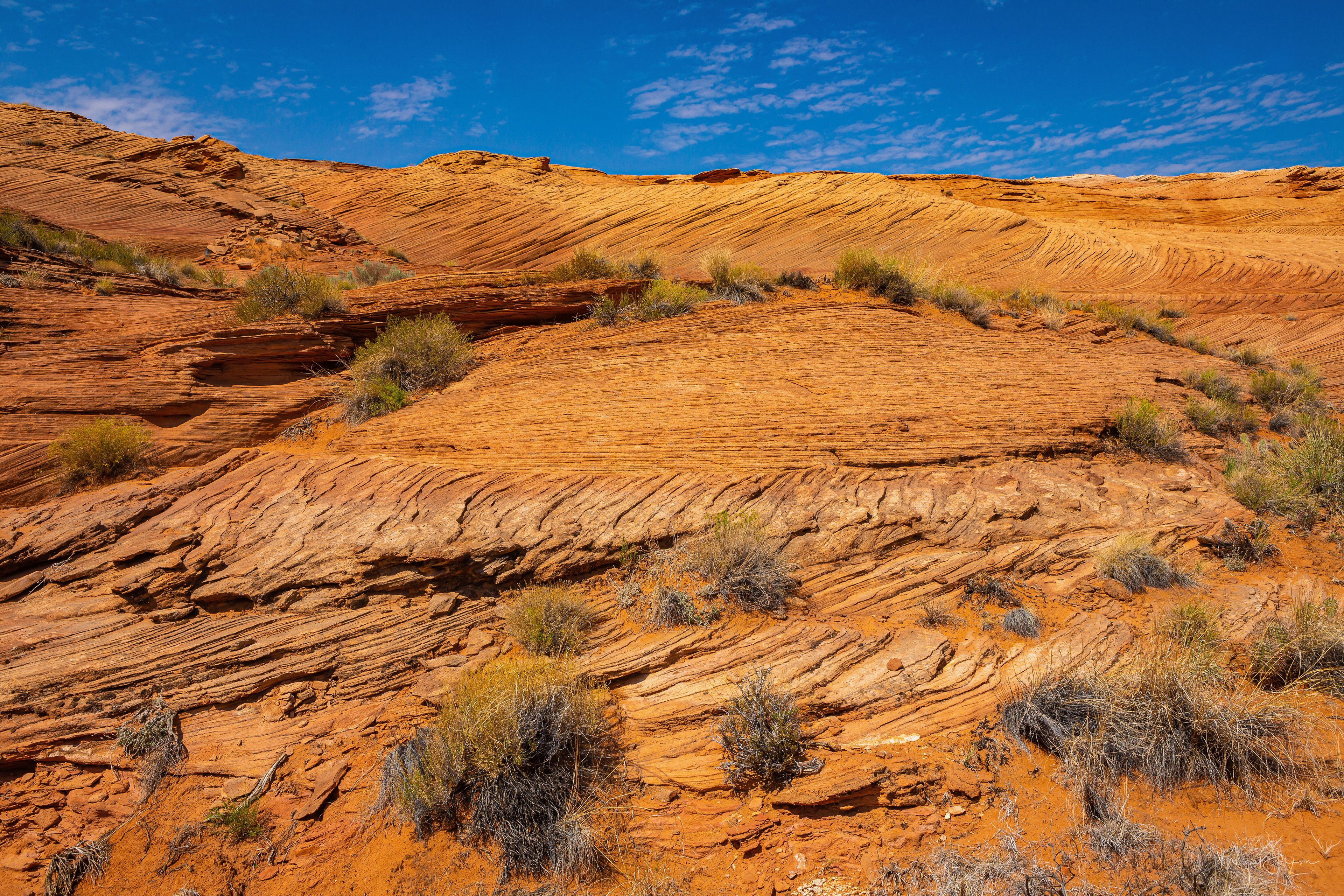 Lake Powell Bluffs