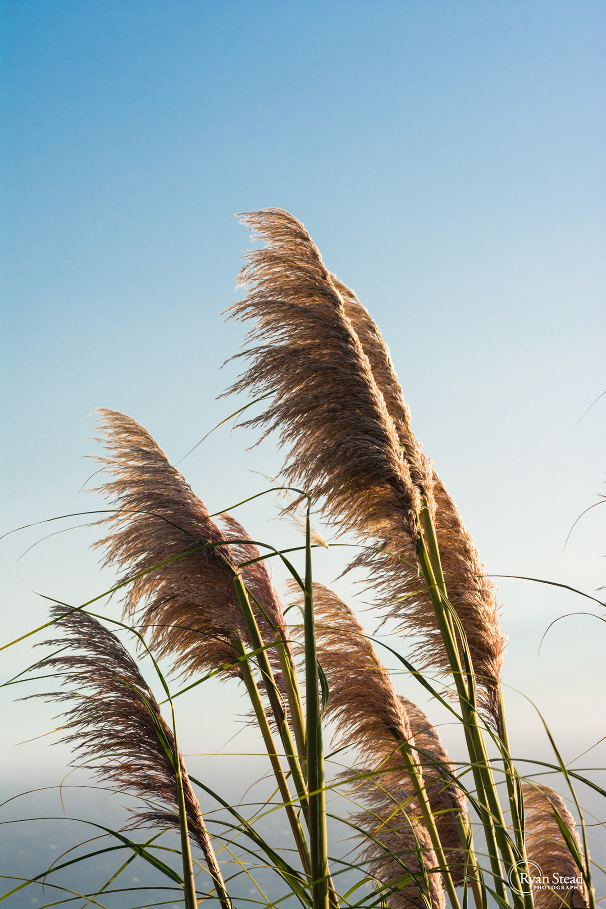 Ryan Stead Photography - Landscapes