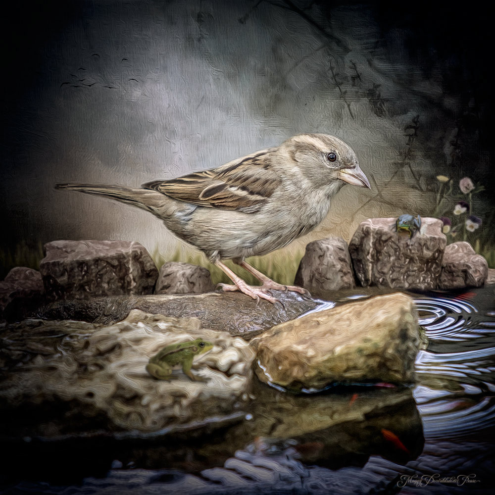 Sparrow at the Lake