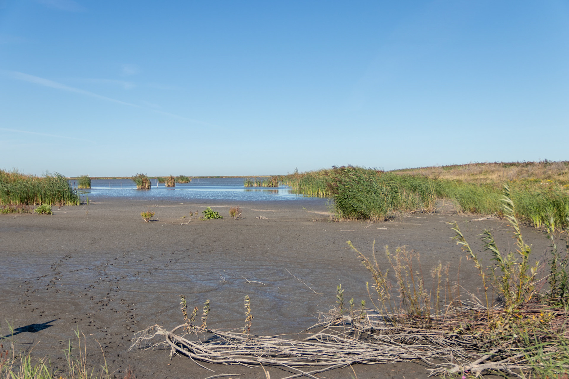 Droge wadden ...