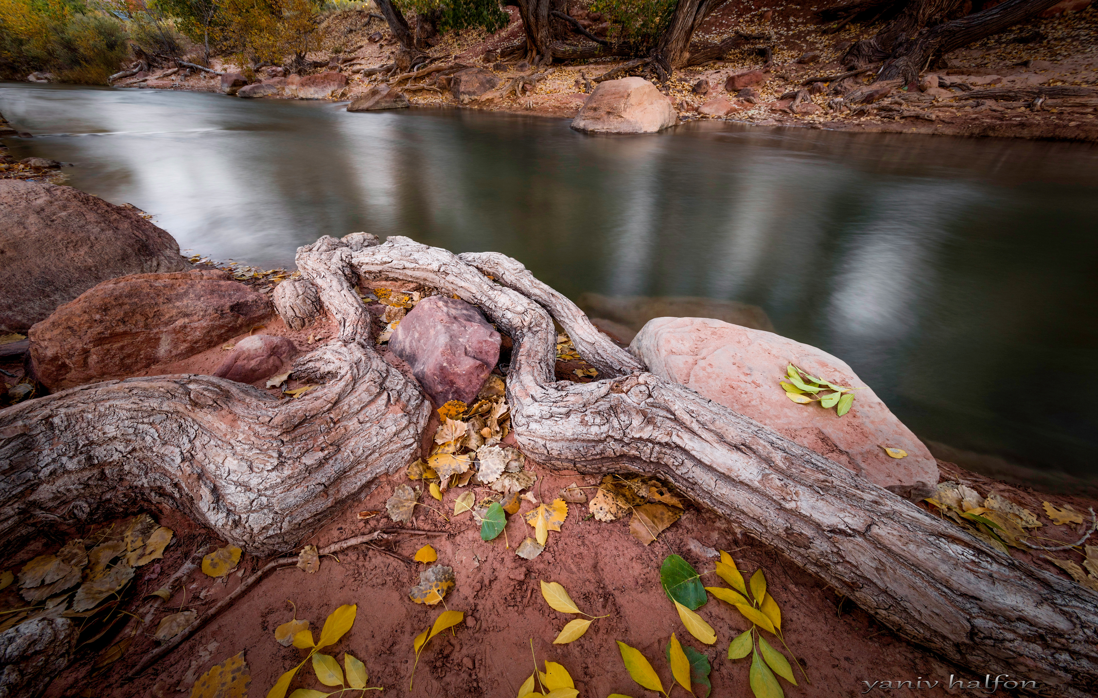 Zion National Park, UT