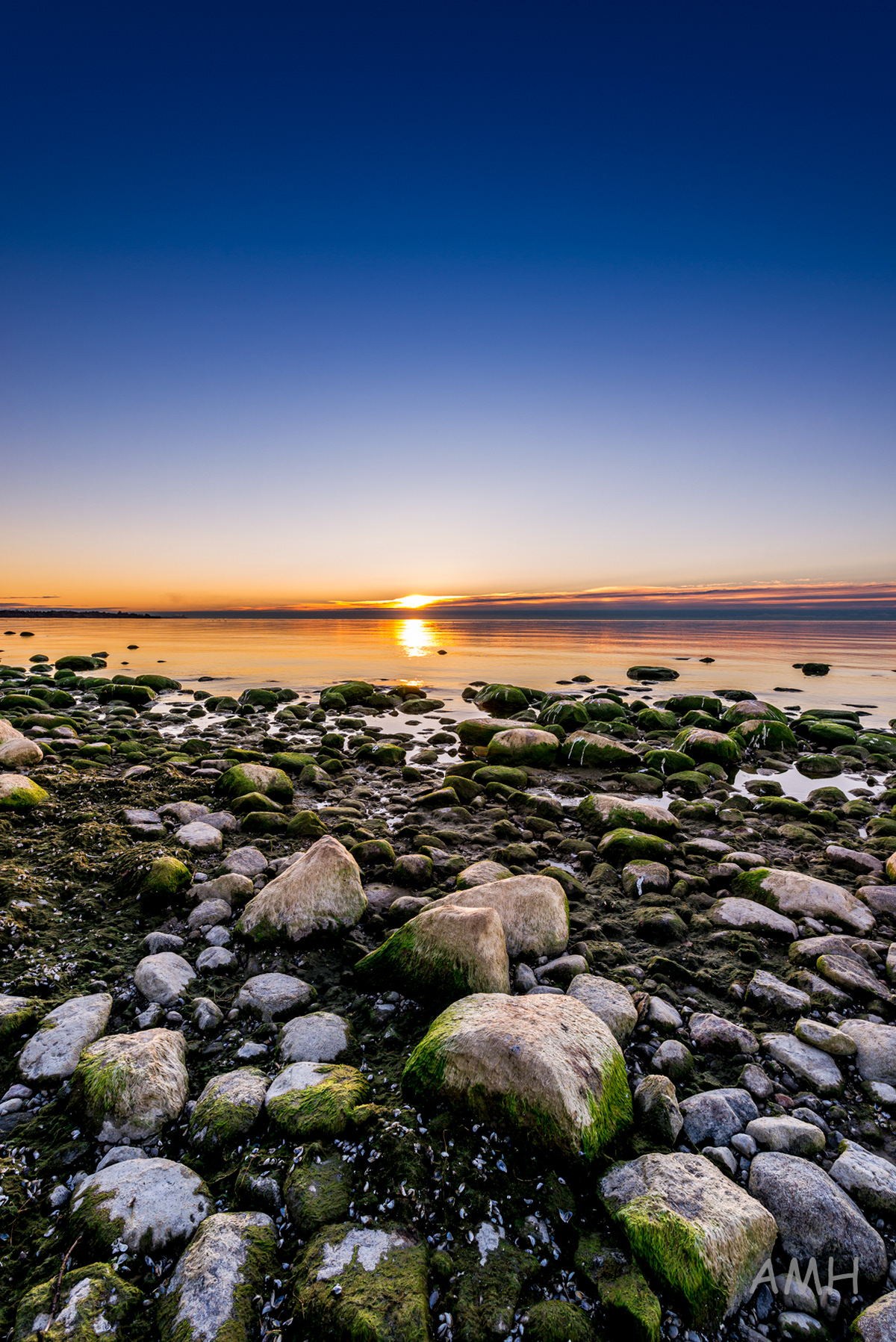 Nikon D610 + 14-24mm G