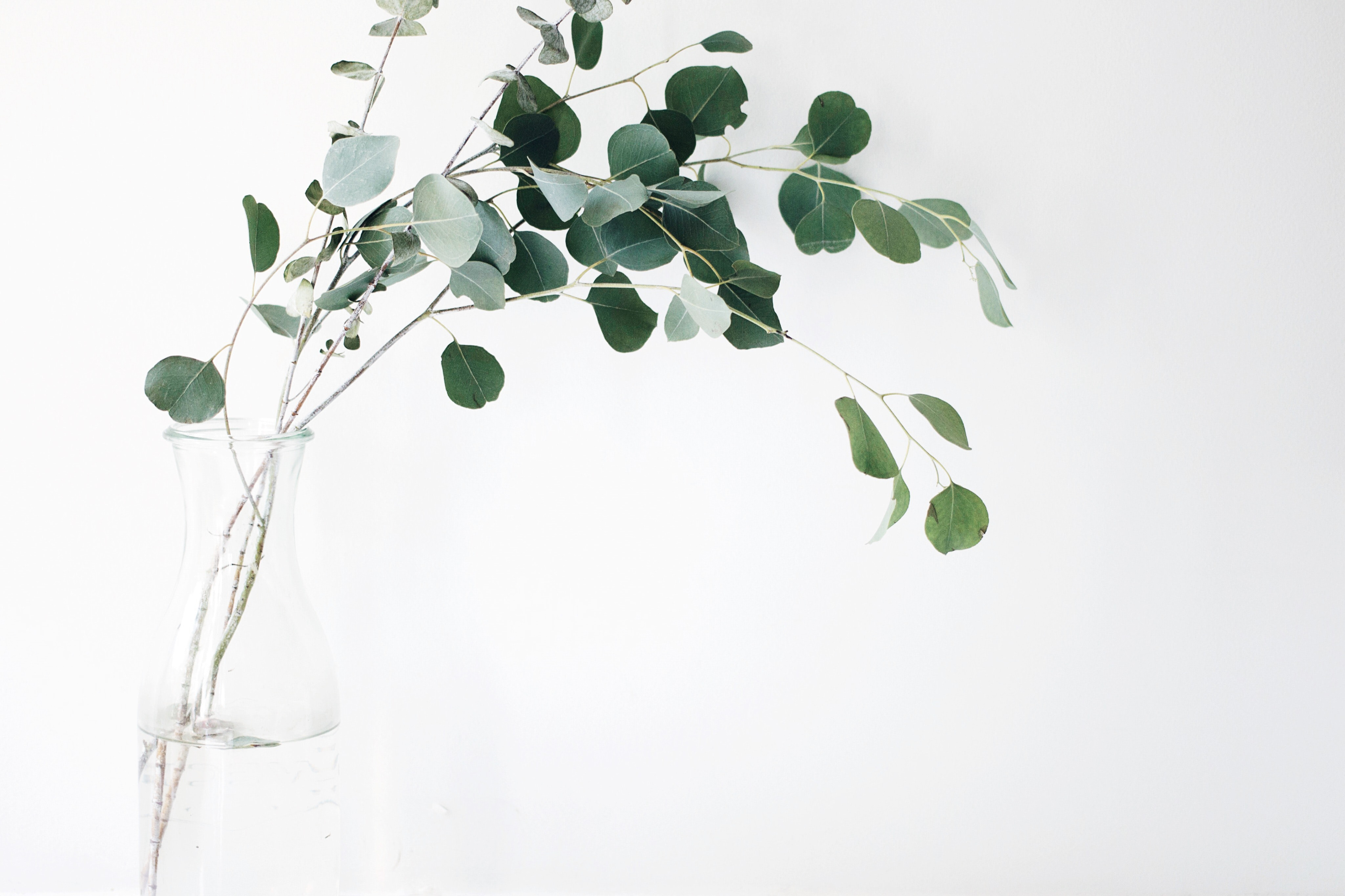 Wasabis 週6勤務の私が意識しているライフスタイル Slow Living について
