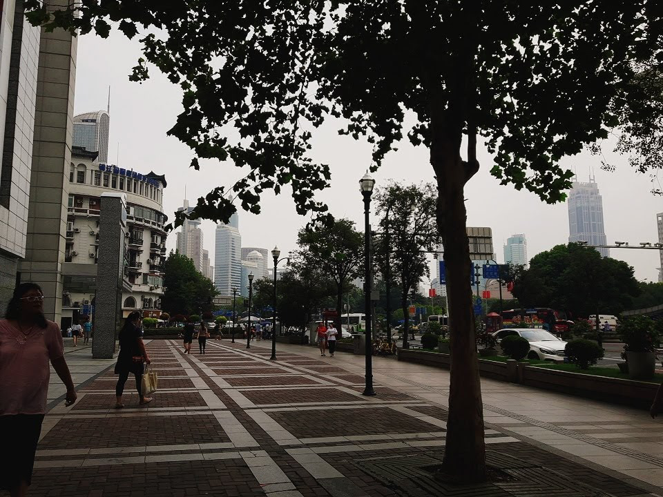 Wasabis 中国語を話せない私が 中国で仕事をしてみて感じた5つのこと