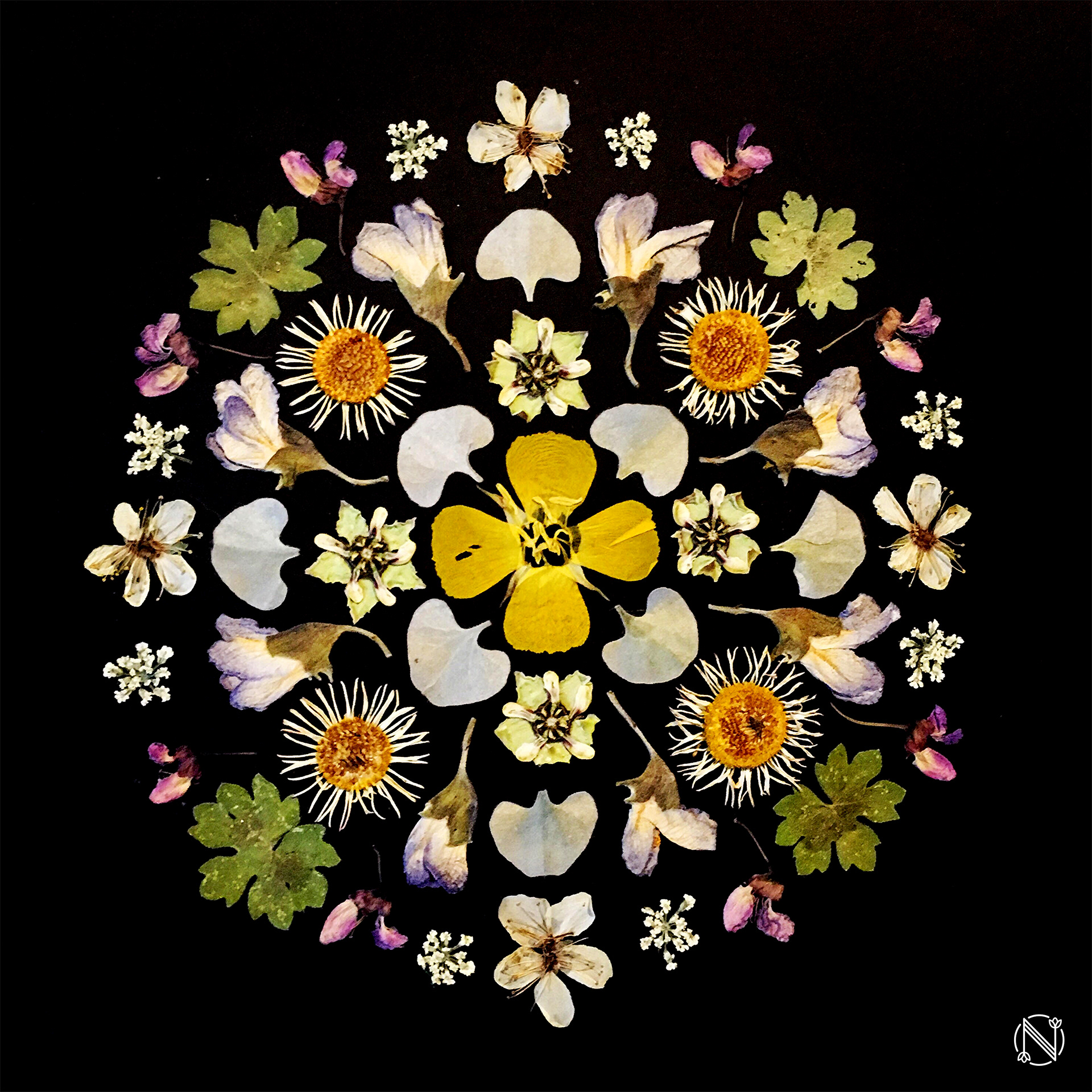 Mandala 1