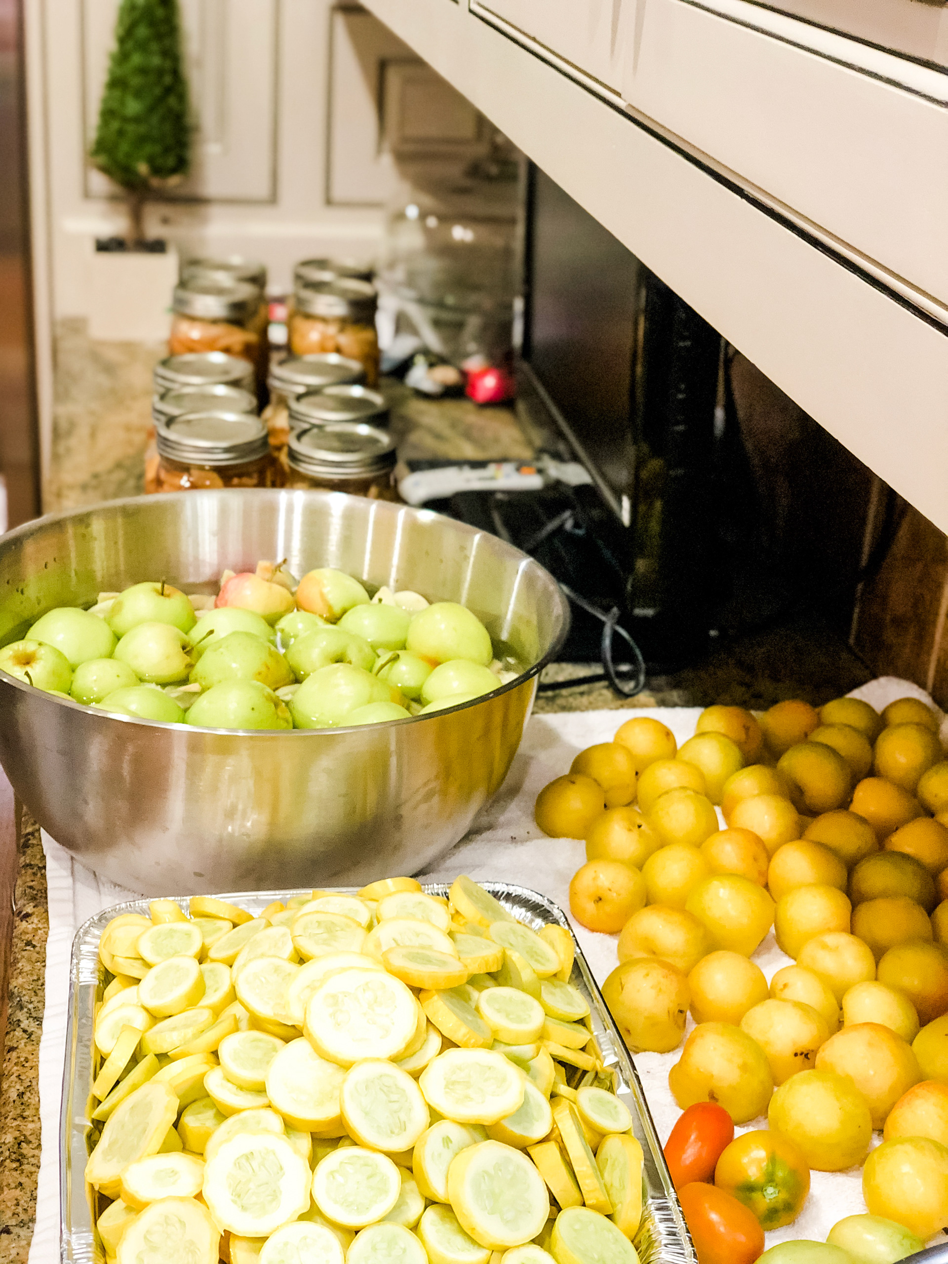 Apples, squash and lemons grown on the plantation